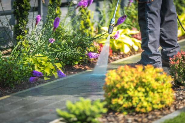 Best Gutter Cleaning  in George Mason, VA